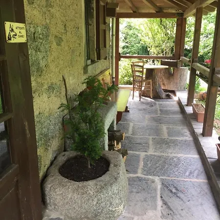 Reginaldo's ネッソ