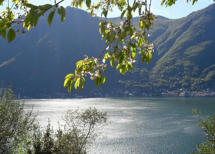 Reginaldo's 4* Nesso