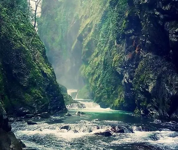 Reginaldo's Aparthotel Nesso