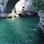 Reginaldo's Nesso