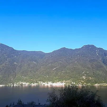 Reginaldo's 4* Nesso