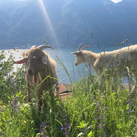 公寓式酒店 Reginaldo's 4*