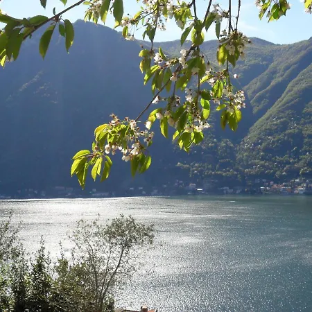 Reginaldo's 4* 内索