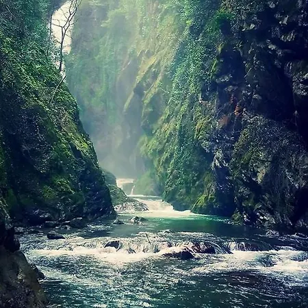 Reginaldo's Apartmanhotel Nesso