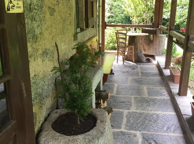 Reginaldo's Nesso